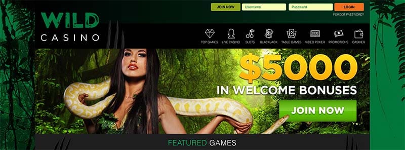 WildCasino.ag bonus offer 2018