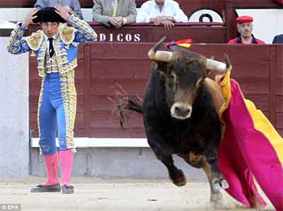People have been betting on bull fighting in spain for many years