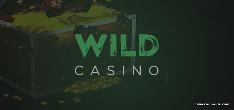 Wild Online Casino Review